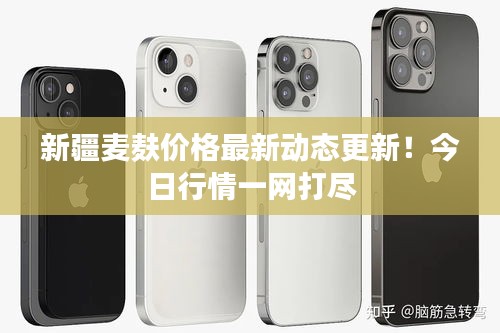 新疆麦麸价格最新动态更新！今日行情一网打尽