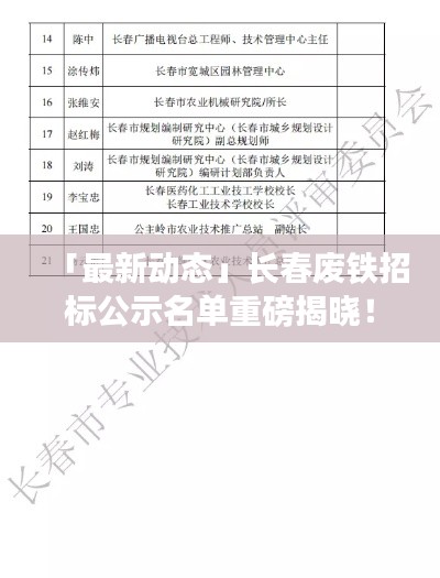 水浄鹅飞 第2页