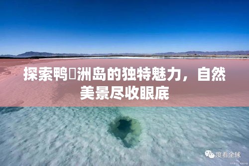 粗制滥造 第2页