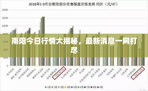 南阳今日行情大揭秘，最新消息一网打尽