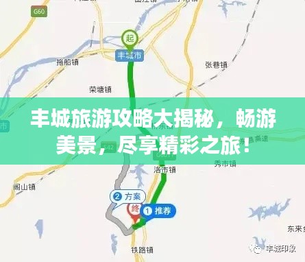 虫言鸟迹 第2页