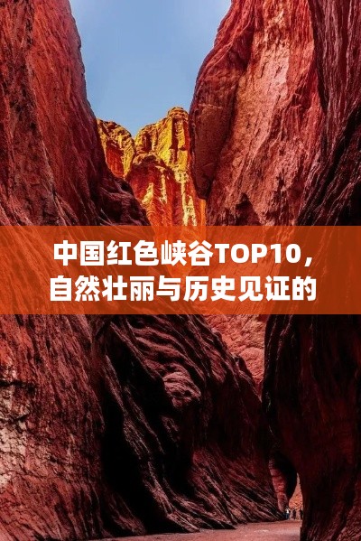 飞鸟惊蛇 第2页