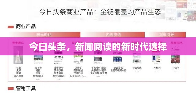 衣无二彩 第2页