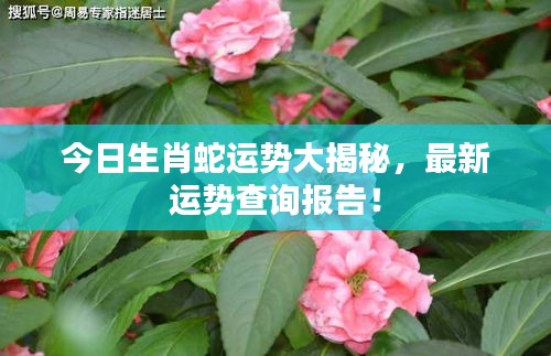 韦编三绝 第2页