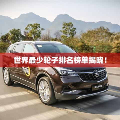 世界最少轮子排名榜单揭晓！