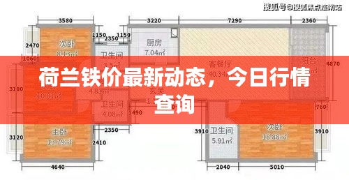 荷兰铁价最新动态，今日行情查询