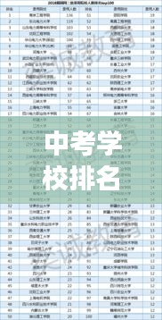 中考学校排名前十解读，优质教育资源分布概览