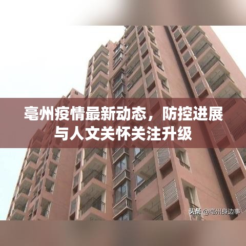 亳州疫情最新动态，防控进展与人文关怀关注升级