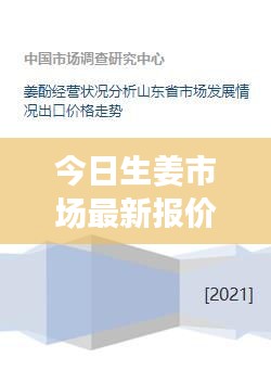 今日生姜市场最新报价及走势分析，揭秘影响因素