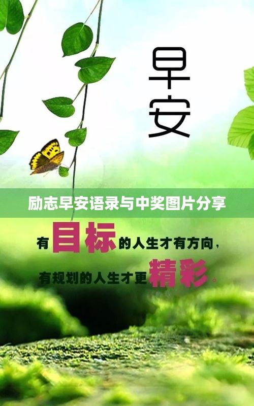 纲举目张 第2页