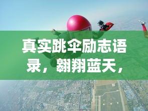 还淳反素 第2页