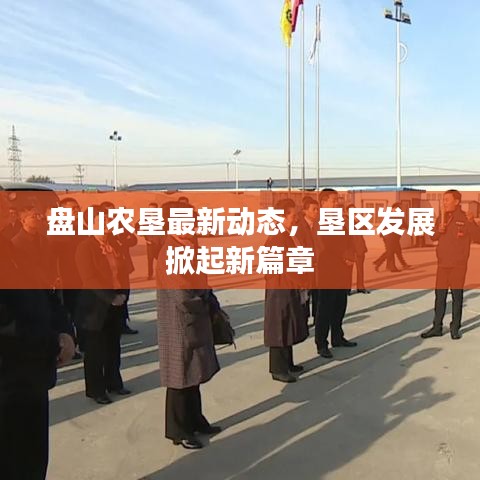 盘山农垦最新动态，垦区发展掀起新篇章