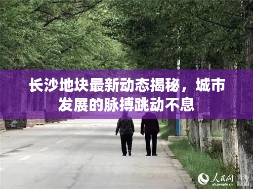 长沙地块最新动态揭秘，城市发展的脉搏跳动不息