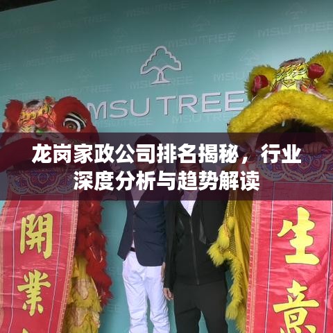 龙岗家政公司排名揭秘，行业深度分析与趋势解读
