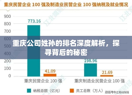 重庆公司姓孙的排名深度解析，探寻背后的秘密