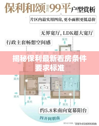 揭秘保利最新看房条件要求标准