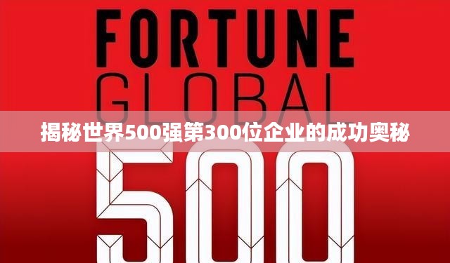 揭秘世界500强第300位企业的成功奥秘