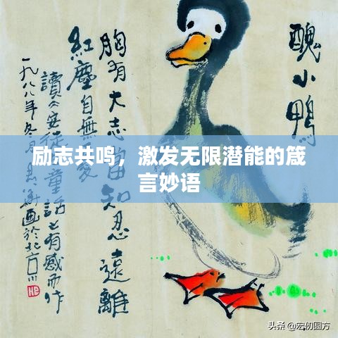 张弓拔弩 第2页