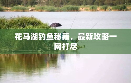 昙花一现 第2页