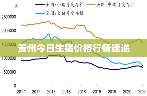 一知半解 第2页