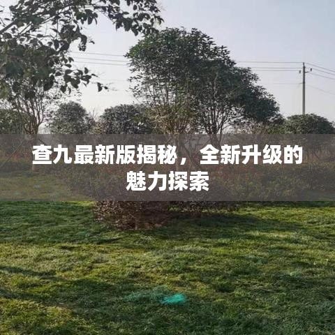 查九最新版揭秘，全新升级的魅力探索