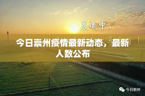 刚毅木讷 第2页