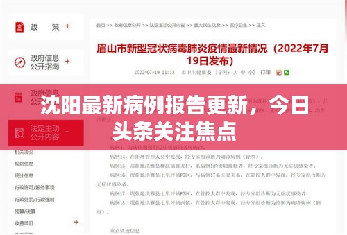 沈阳最新病例报告更新，今日头条关注焦点