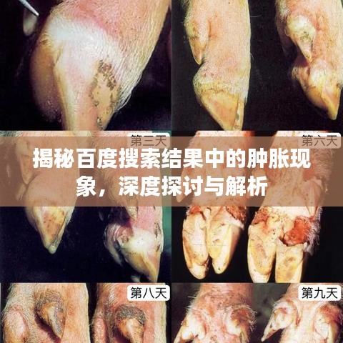 揭秘百度搜索结果中的肿胀现象，深度探讨与解析