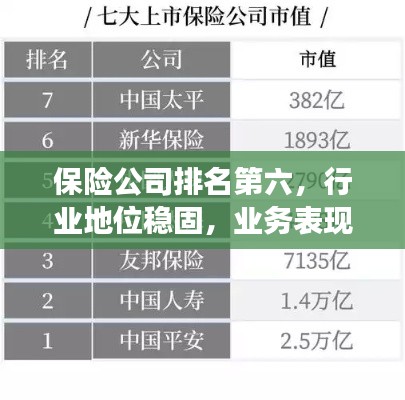 保险公司排名第六，行业地位稳固，业务表现亮眼，未来展望无限潜能