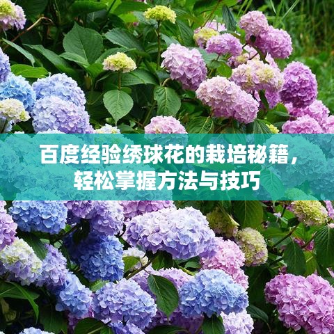 靡颜腻理 第2页