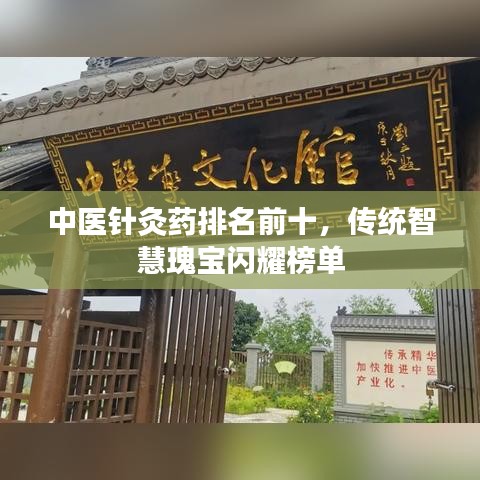 中医针灸药排名前十，传统智慧瑰宝闪耀榜单