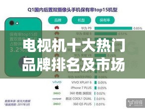 电视机十大热门品牌排名及市场解析，百度数据揭秘