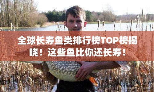 全球长寿鱼类排行榜TOP榜揭晓！这些鱼比你还长寿！