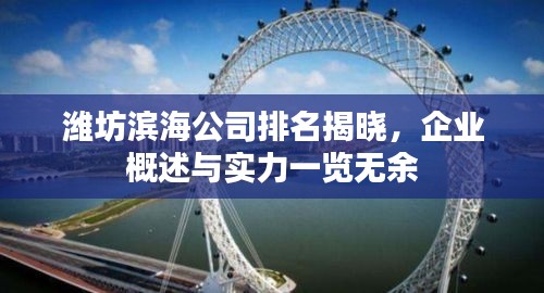 潍坊滨海公司排名揭晓，企业概述与实力一览无余