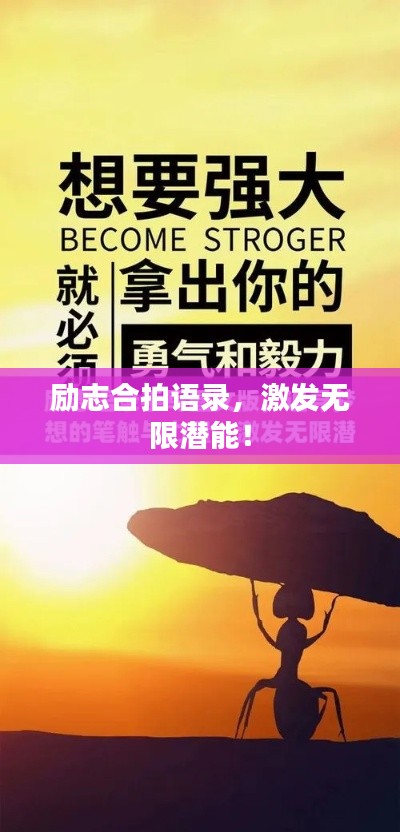 励志合拍语录，激发无限潜能！