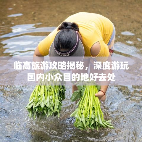 临高旅游攻略揭秘，深度游玩国内小众目的地好去处