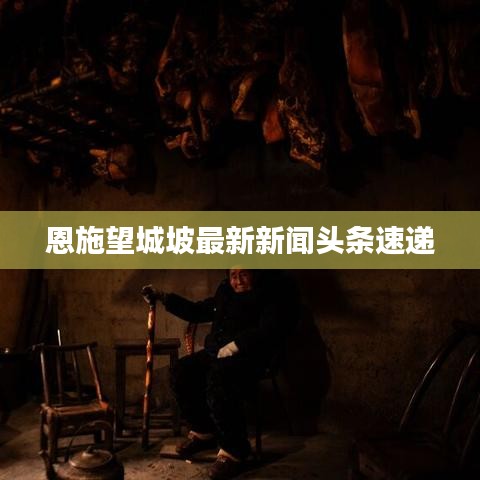 恩施望城坡最新新闻头条速递
