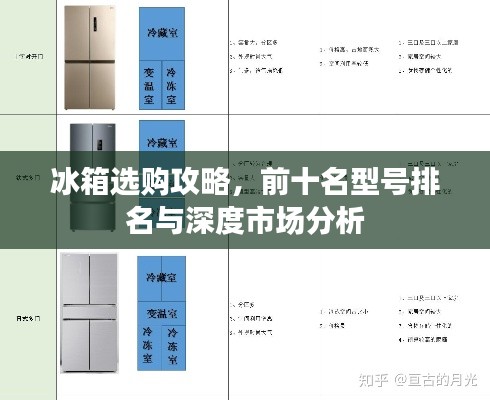 冰箱选购攻略，前十名型号排名与深度市场分析