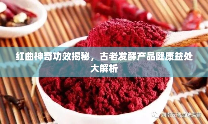 披沙拣金 第2页