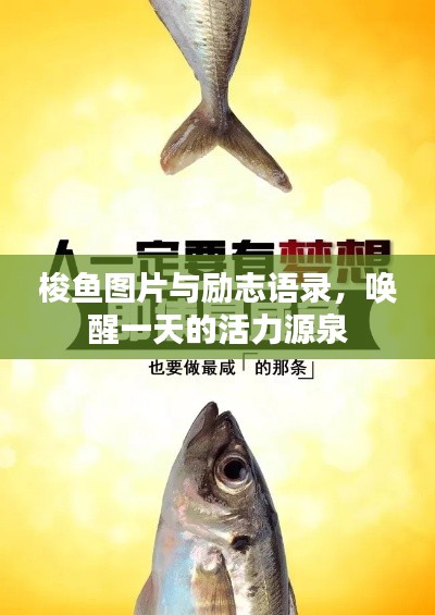 尘土飞扬 第2页