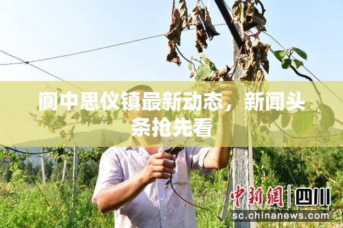 指李推张 第2页