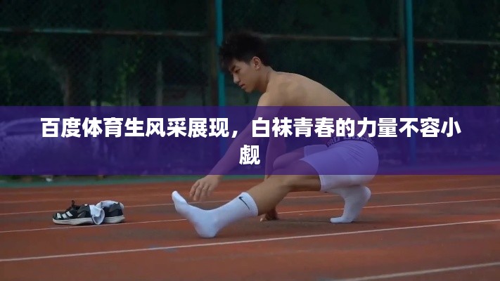 七贵三公 第2页