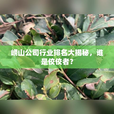 集腋成裘 第2页
