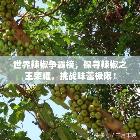 贵人多忘事 第2页