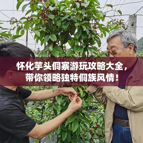 流光飞舞 第2页
