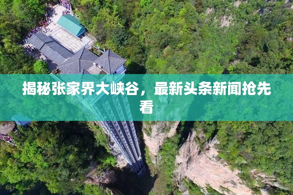 揭秘张家界大峡谷，最新头条新闻抢先看