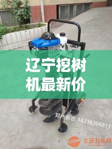 善始善终 第2页