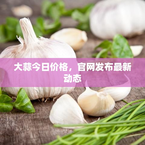 大蒜今日价格，官网发布最新动态