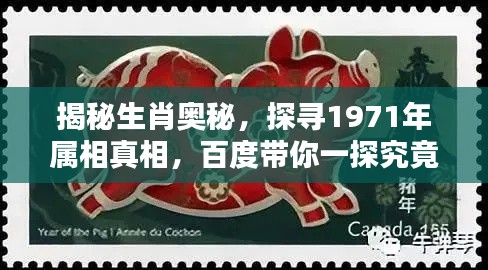 揭秘生肖奥秘，探寻1971年属相真相，百度带你一探究竟！