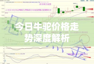 今日牛驼价格走势深度解析